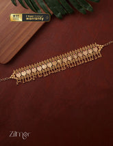 AG200105 Gold tone Lakshmi coin Bridal choker necklace 3-Zilmor